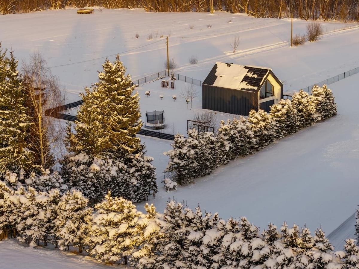 Ośnieżona okolica i domek pośród drzew, widok z góry